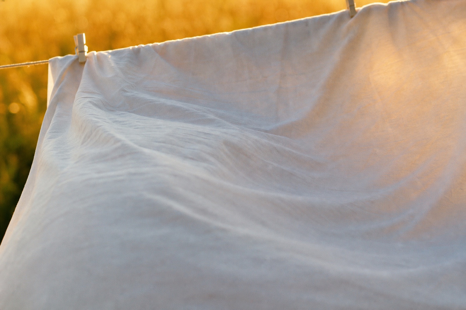 A white duvet cover billowing on the line in golden evening light.